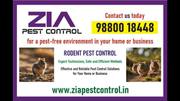 Rodent Pest Control for Hospital | Commercial Rodent control | 5074